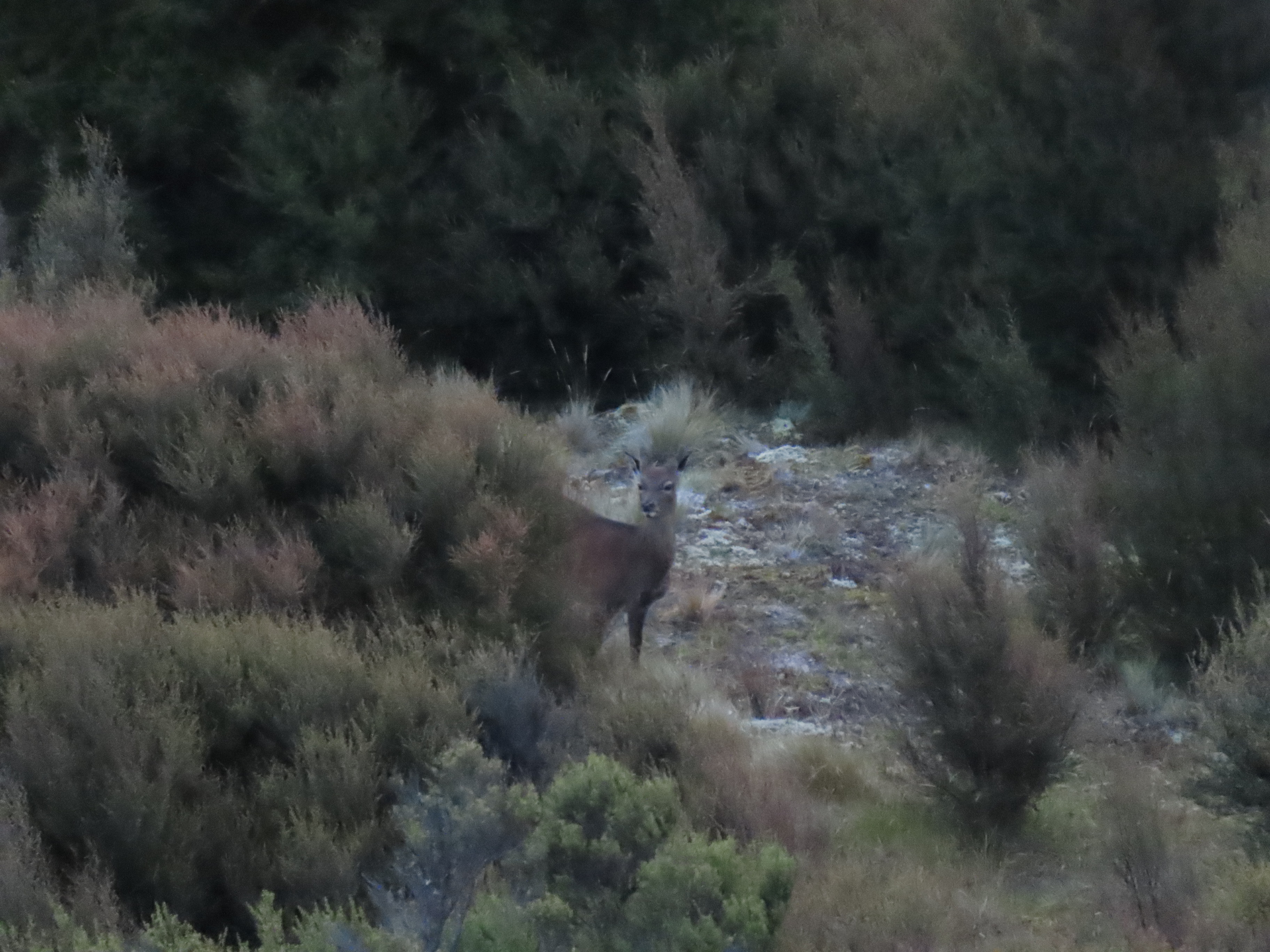 Name:  IMG_0386.JPG
Views: 533
Size:  2.30 MB