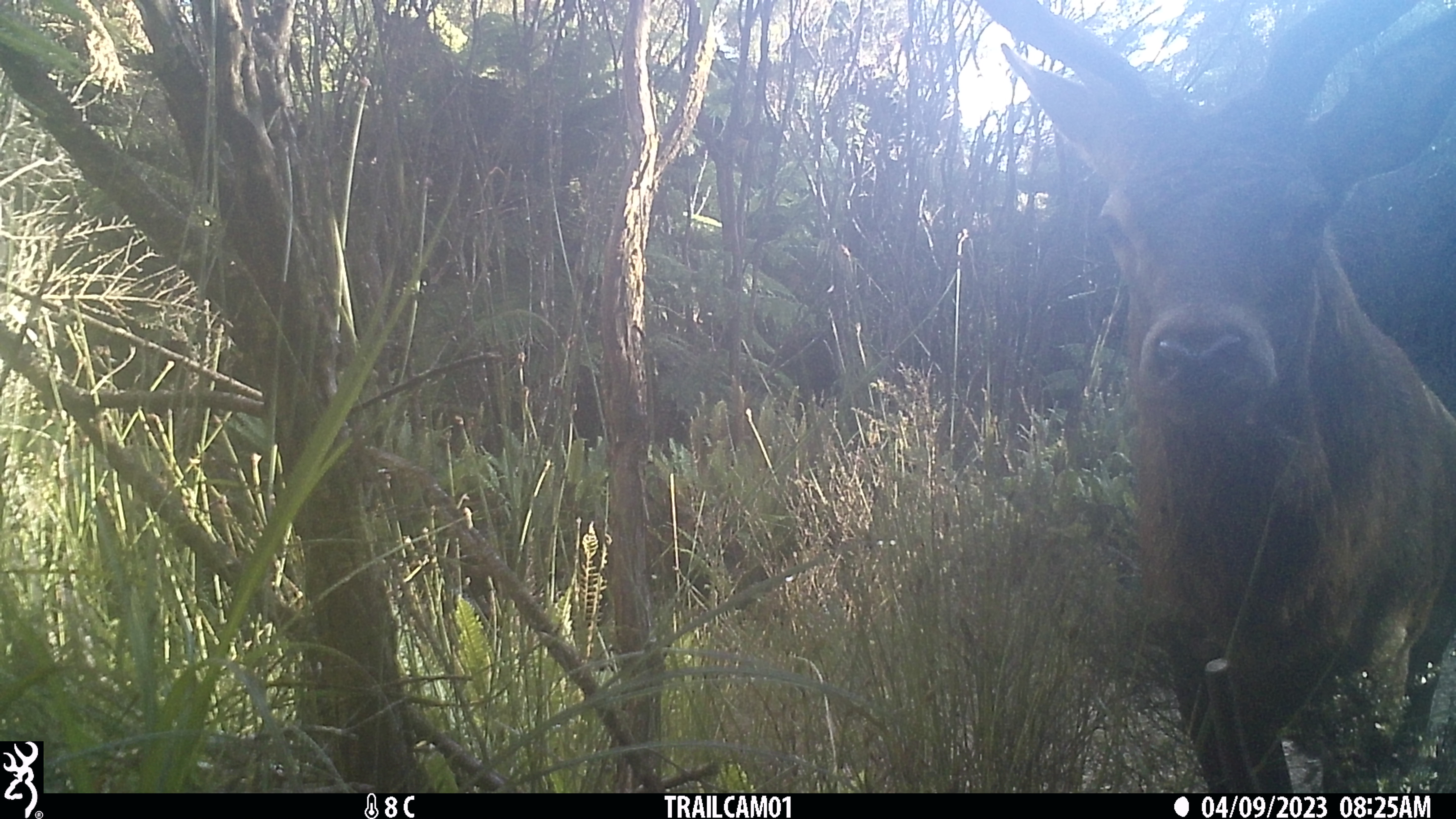 Name:  IMG_0174.JPG
Views: 570
Size:  2.19 MB