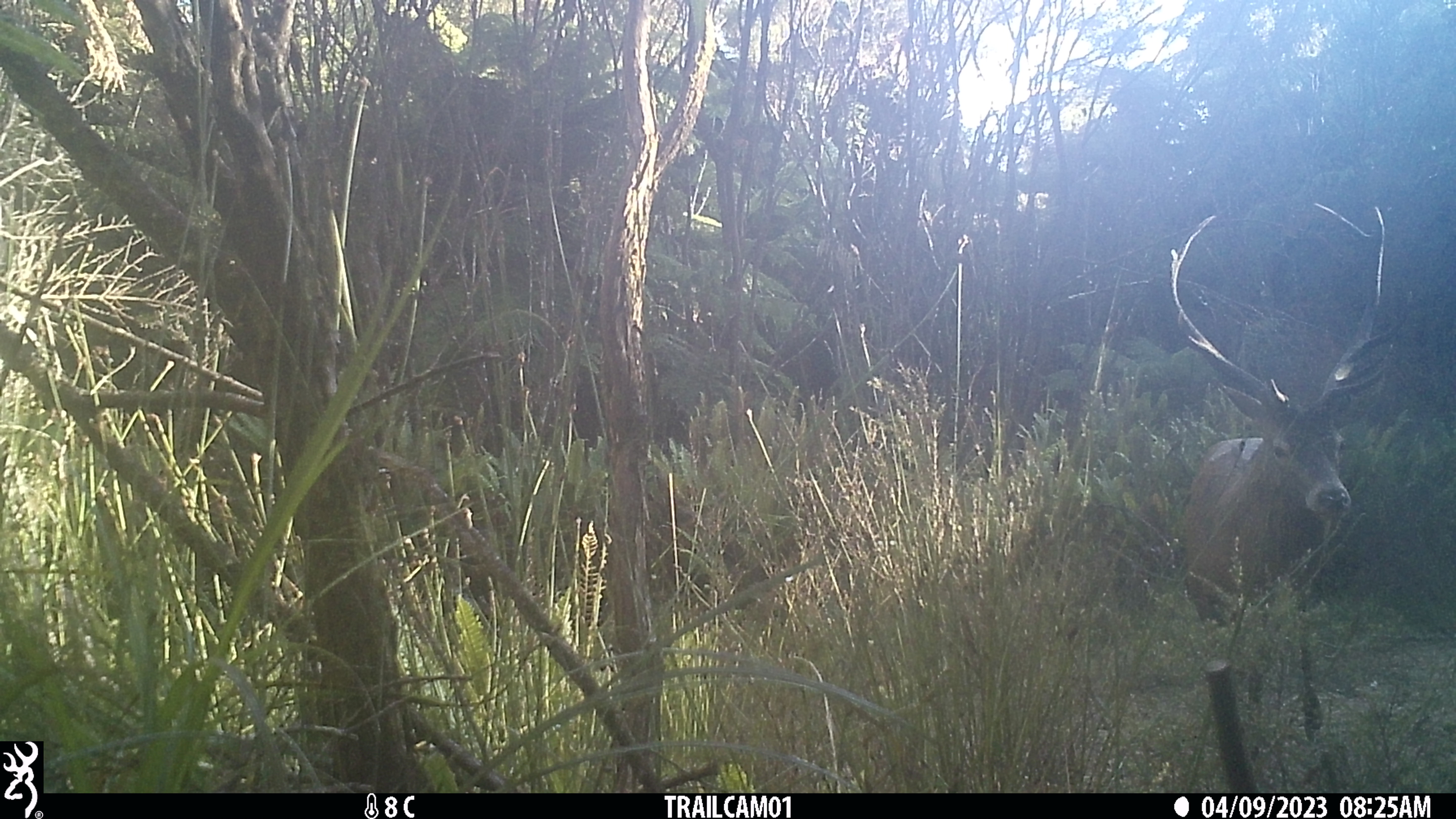 Name:  IMG_0172.JPG
Views: 565
Size:  2.23 MB