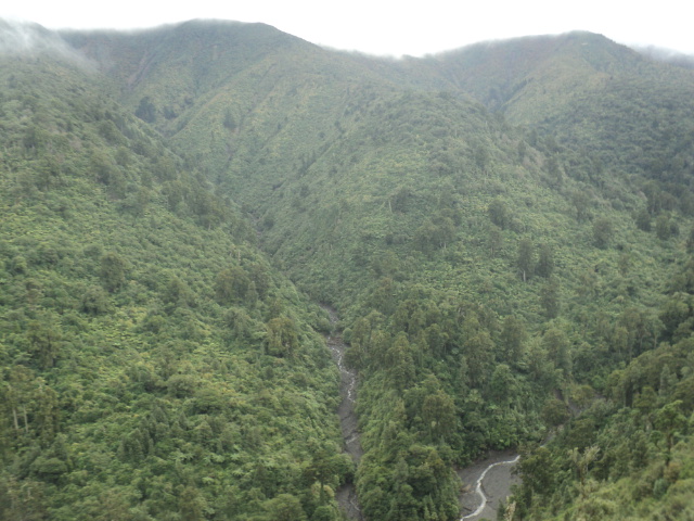 Name:  DSC06634.JPG
Views: 265
Size:  163.1 KB