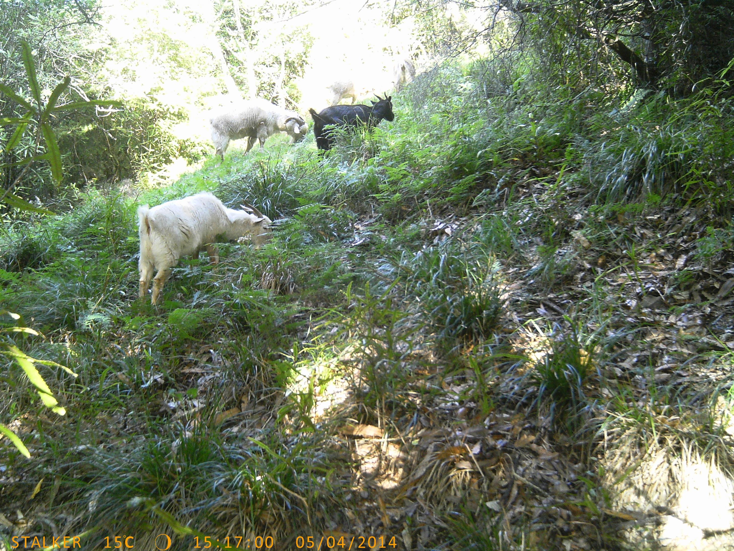 Name:  PTDC0037.jpg
Views: 811
Size:  1.14 MB