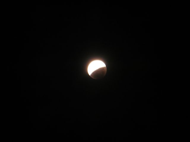 Name:  IMG_1170.jpg
Views: 298
Size:  11.6 KB