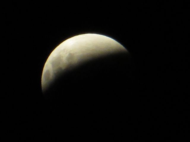 Name:  IMG_1216.jpg
Views: 354
Size:  14.9 KB