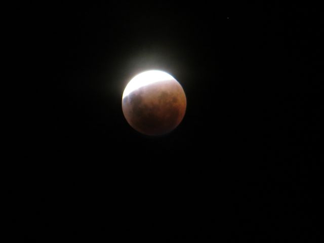 Name:  IMG_1222.jpg
Views: 362
Size:  12.8 KB