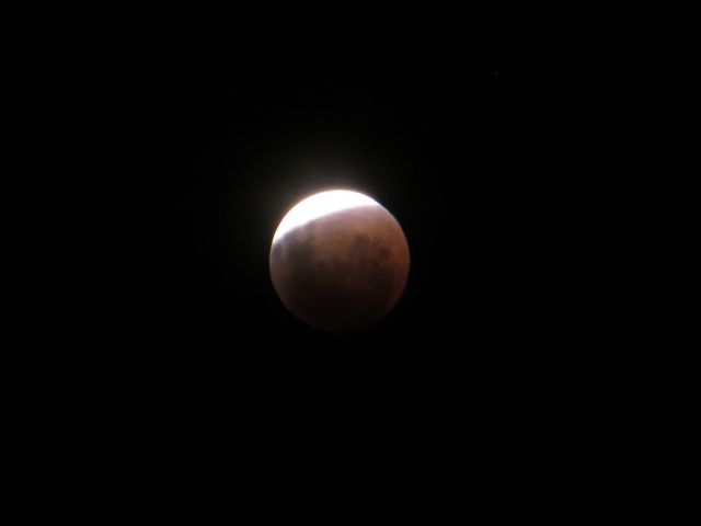 Name:  IMG_1229.jpg
Views: 333
Size:  12.3 KB