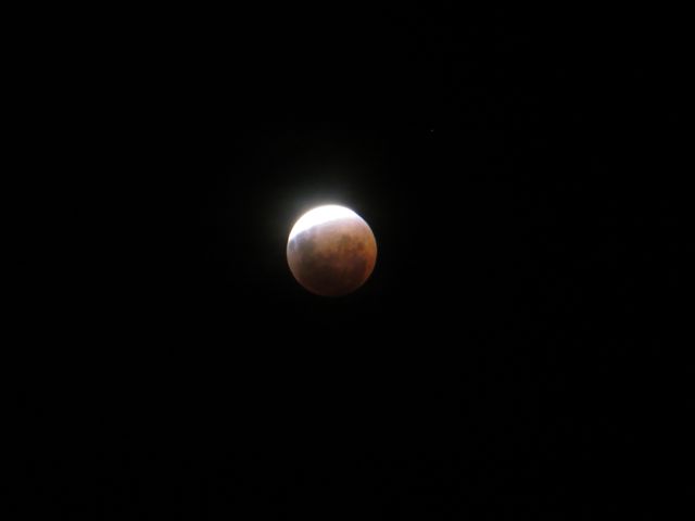 Name:  IMG_1230.jpg
Views: 266
Size:  11.7 KB