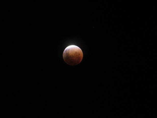 Name:  IMG_1240.jpg
Views: 307
Size:  11.6 KB