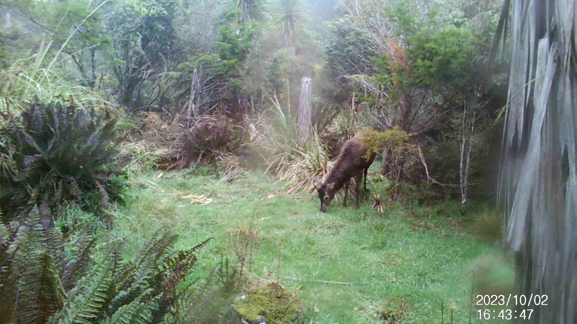 Name:  IMAG0425 - frame at 0m1s.jpg
Views: 494
Size:  280.2 KB