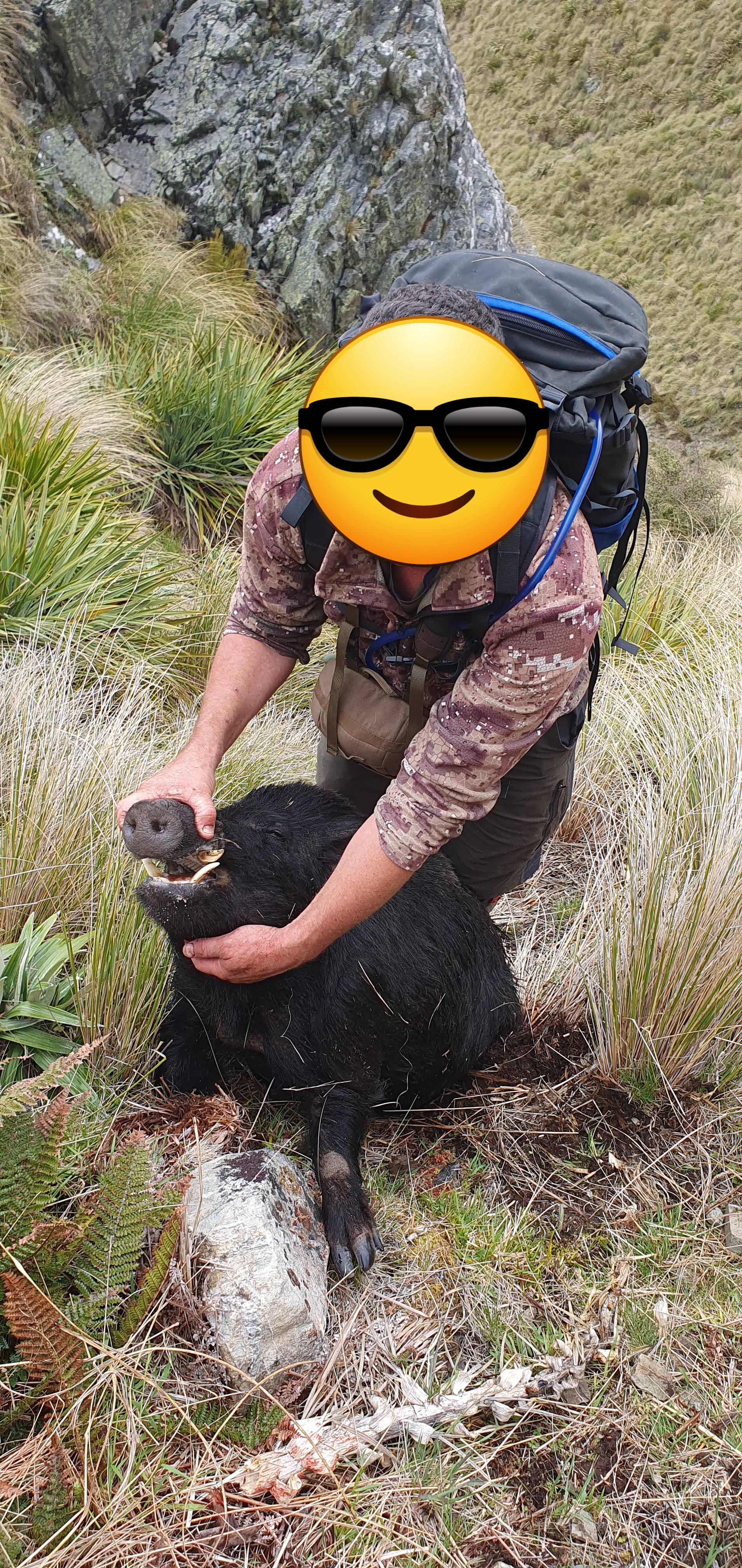 Name:  Pig pic.jpg
Views: 292
Size:  4.03 MB
