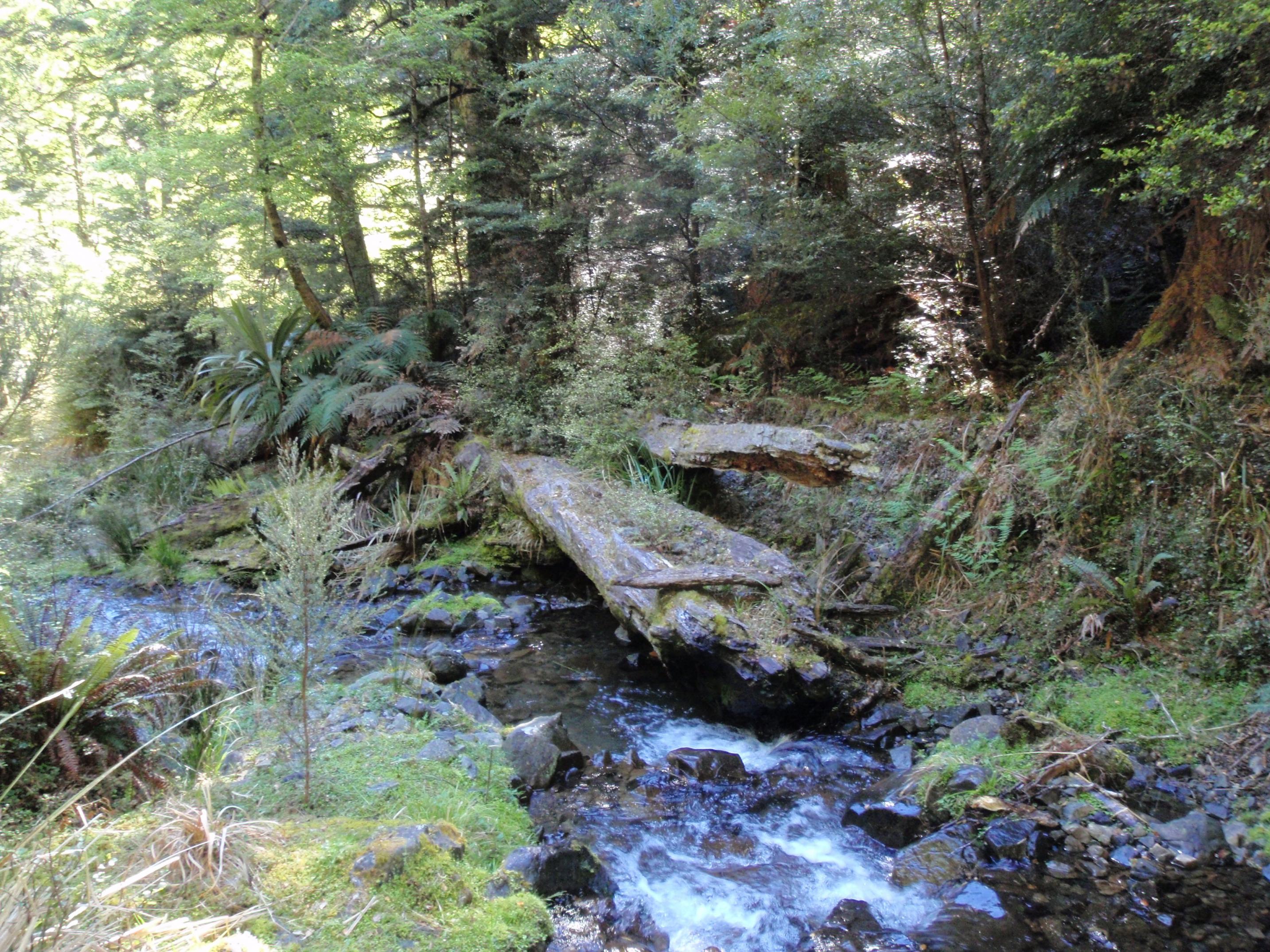 Name:  30112008_18.jpg
Views: 790
Size:  1.07 MB