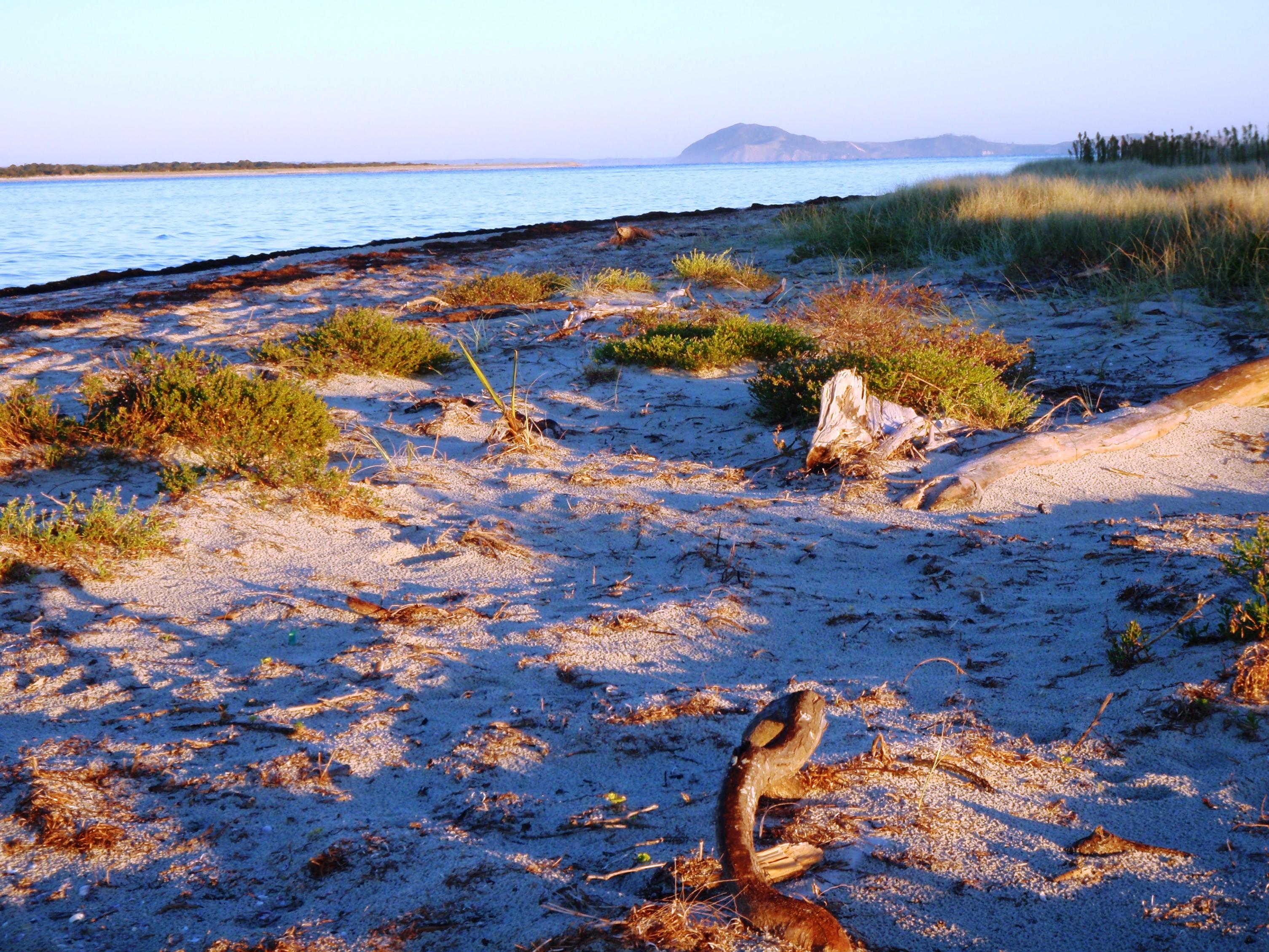 Name:  Rangiputa 064 - Copy.jpg
Views: 729
Size:  1.05 MB