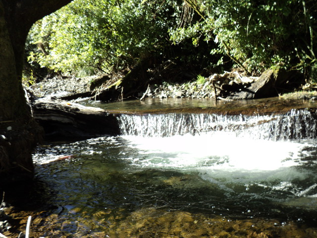 Name:  picture 1641.jpg
Views: 610
Size:  164.4 KB
