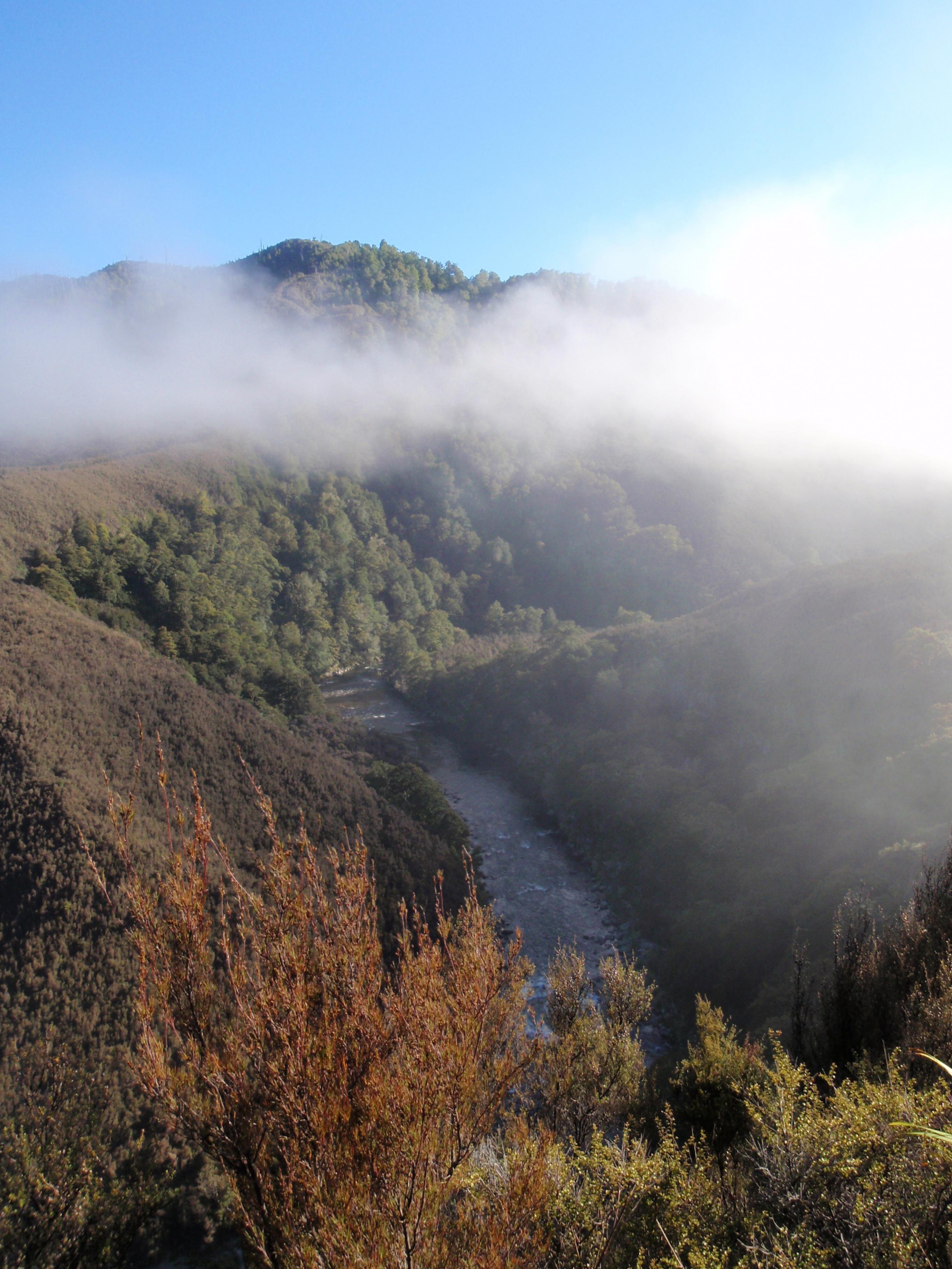 Name:  29112008_11.jpg
Views: 606
Size:  893.7 KB