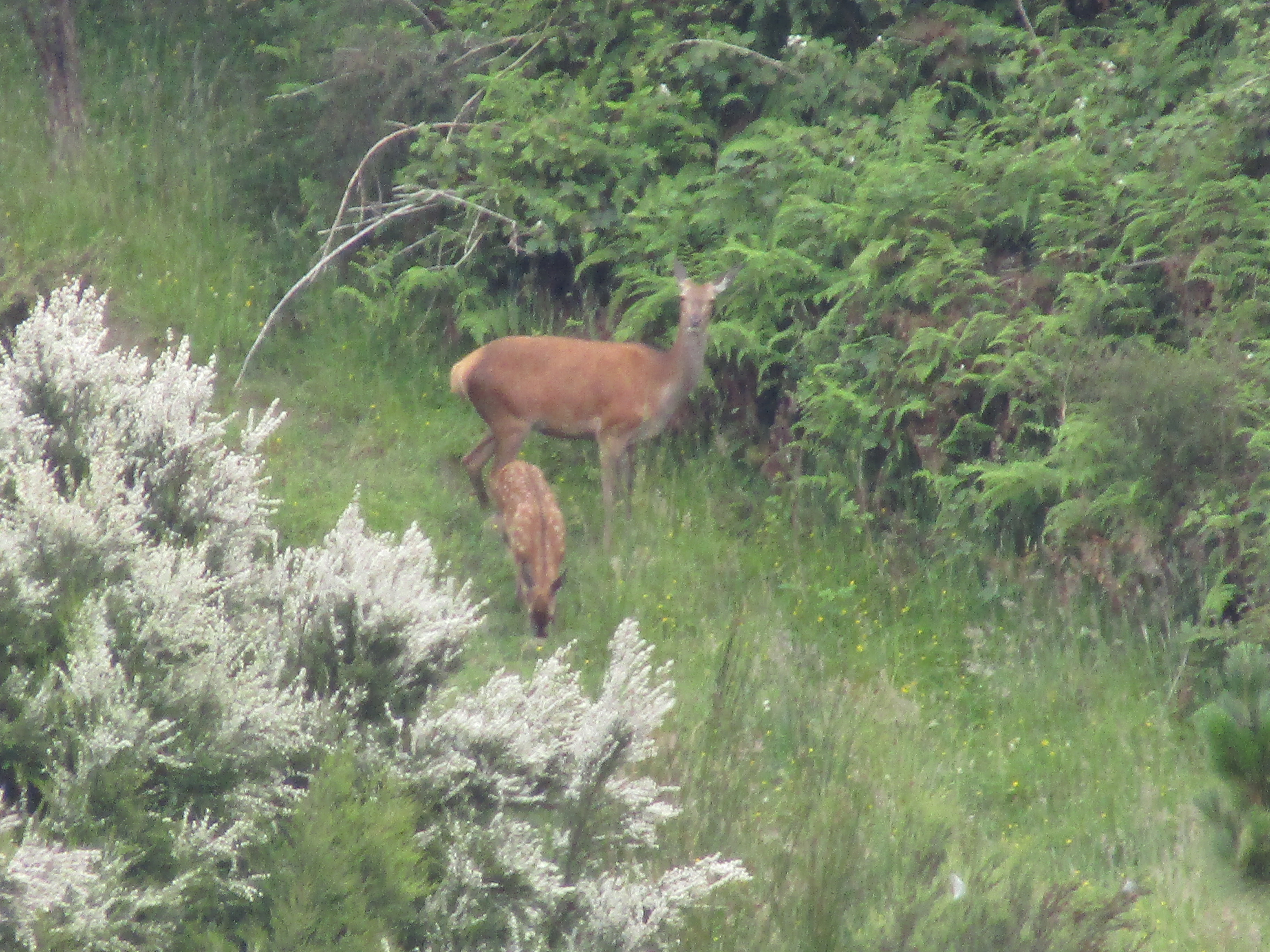 Name:  IMG_0776.JPG
Views: 274
Size:  3.30 MB