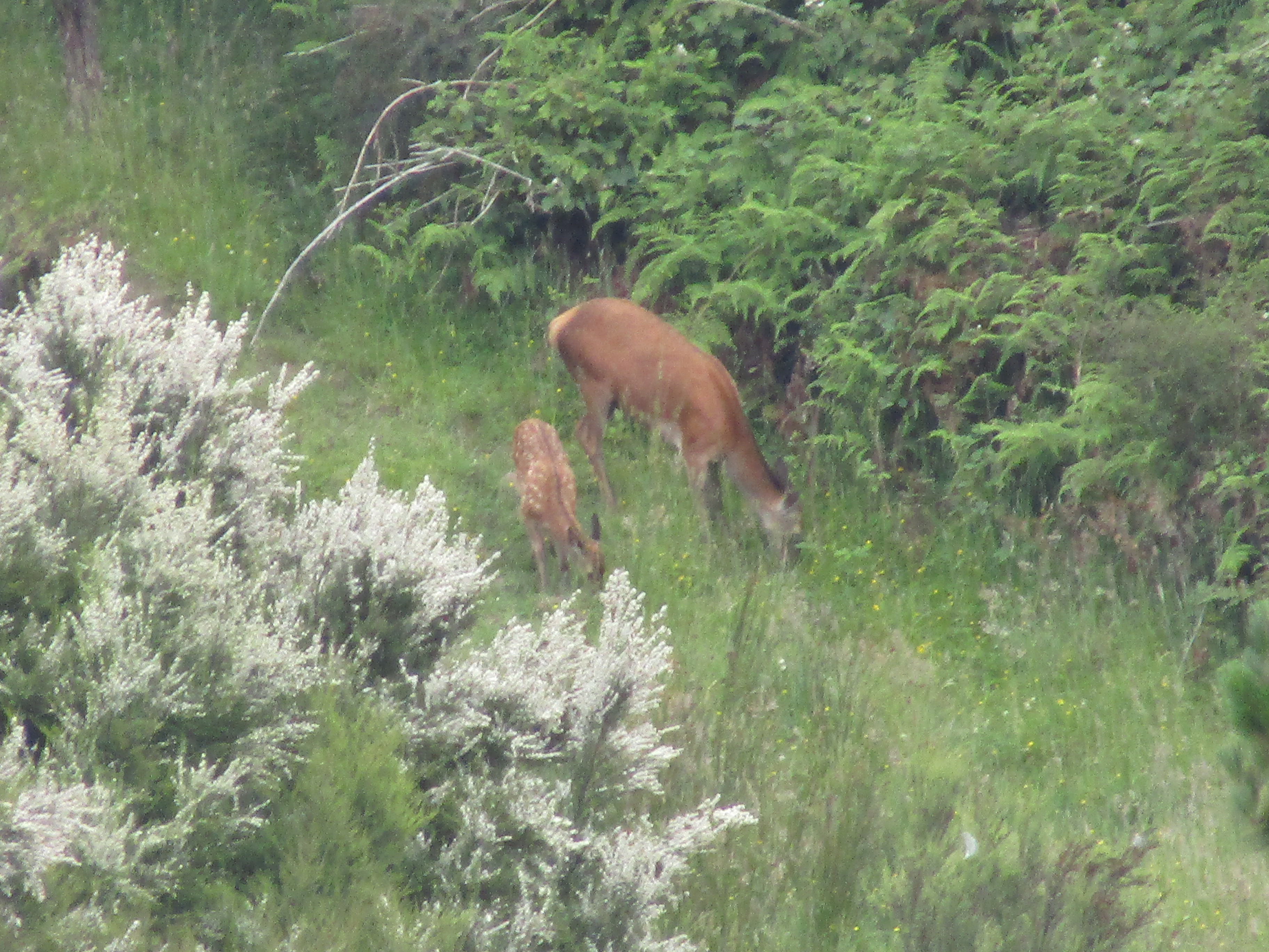 Name:  IMG_0778.JPG
Views: 271
Size:  3.34 MB