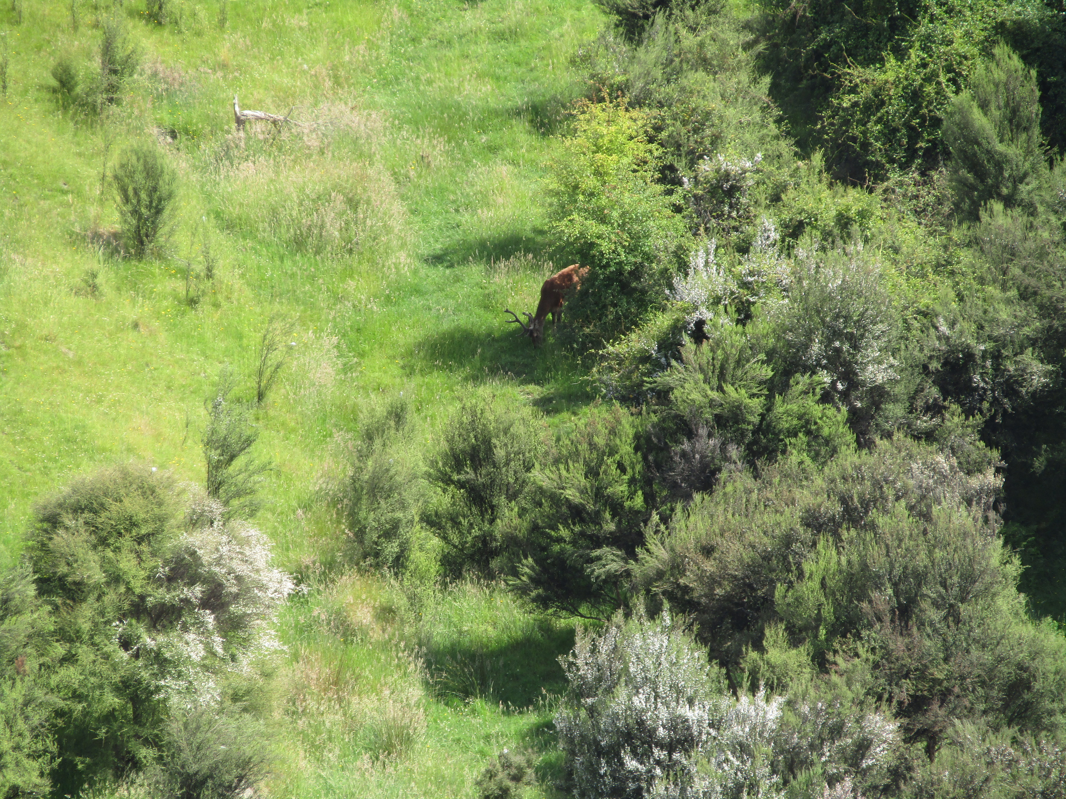 Name:  IMG_0780.JPG
Views: 282
Size:  5.41 MB