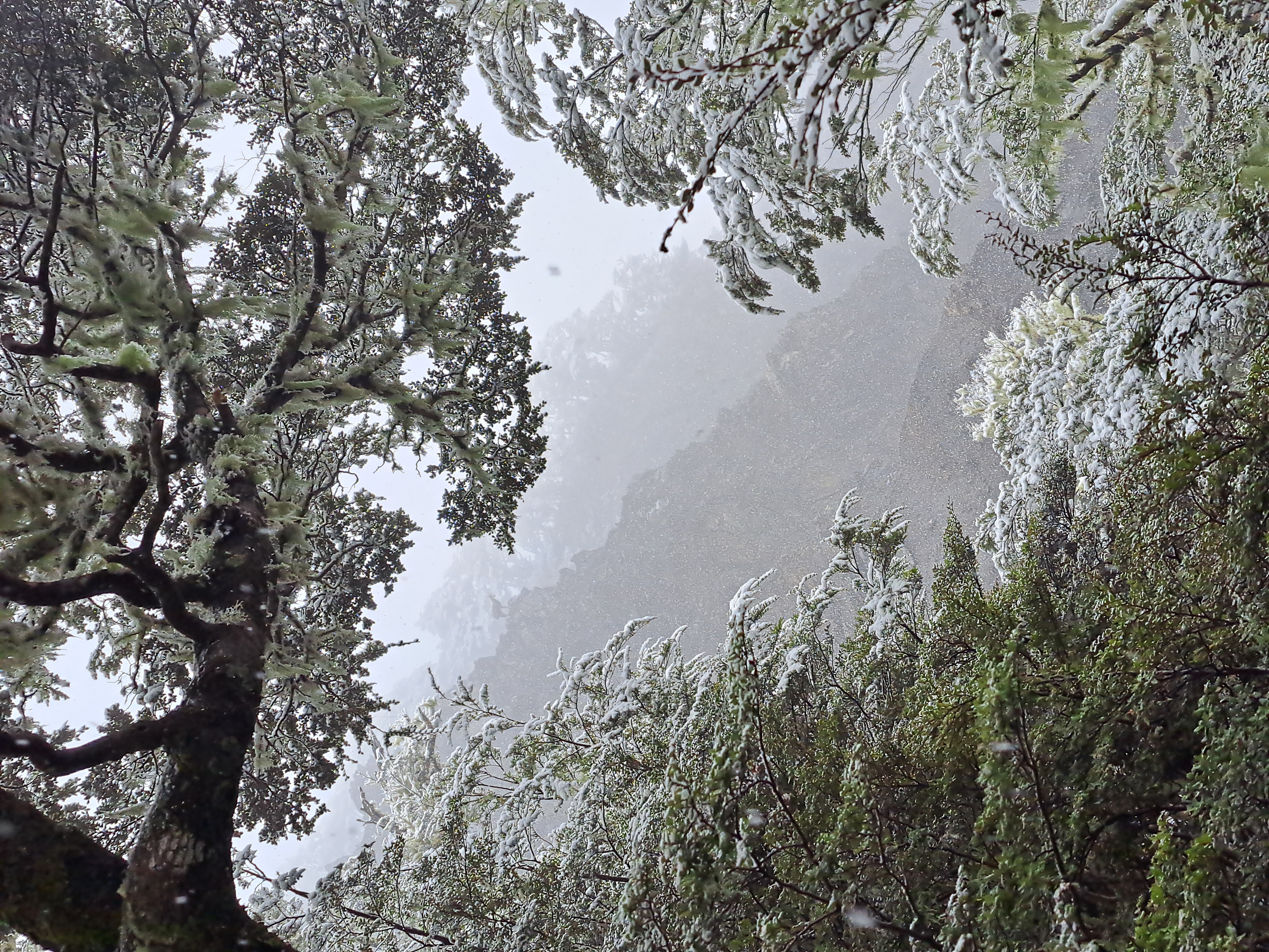 Name:  20230927_162325.jpg
Views: 148
Size:  6.26 MB