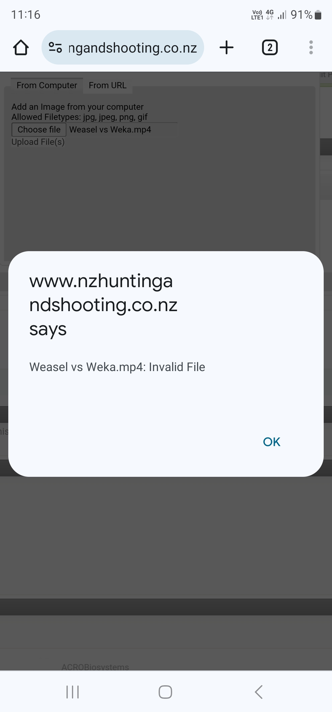 Name:  Screenshot_20240204_231640_Chrome.jpg
Views: 397
Size:  194.9 KB