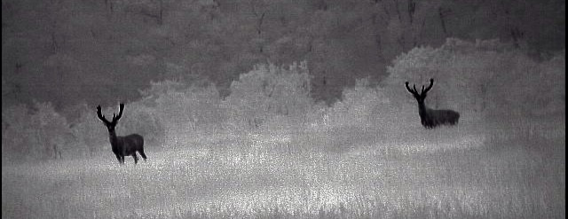 Name:  IMG_6869.jpeg
Views: 897
Size:  61.1 KB