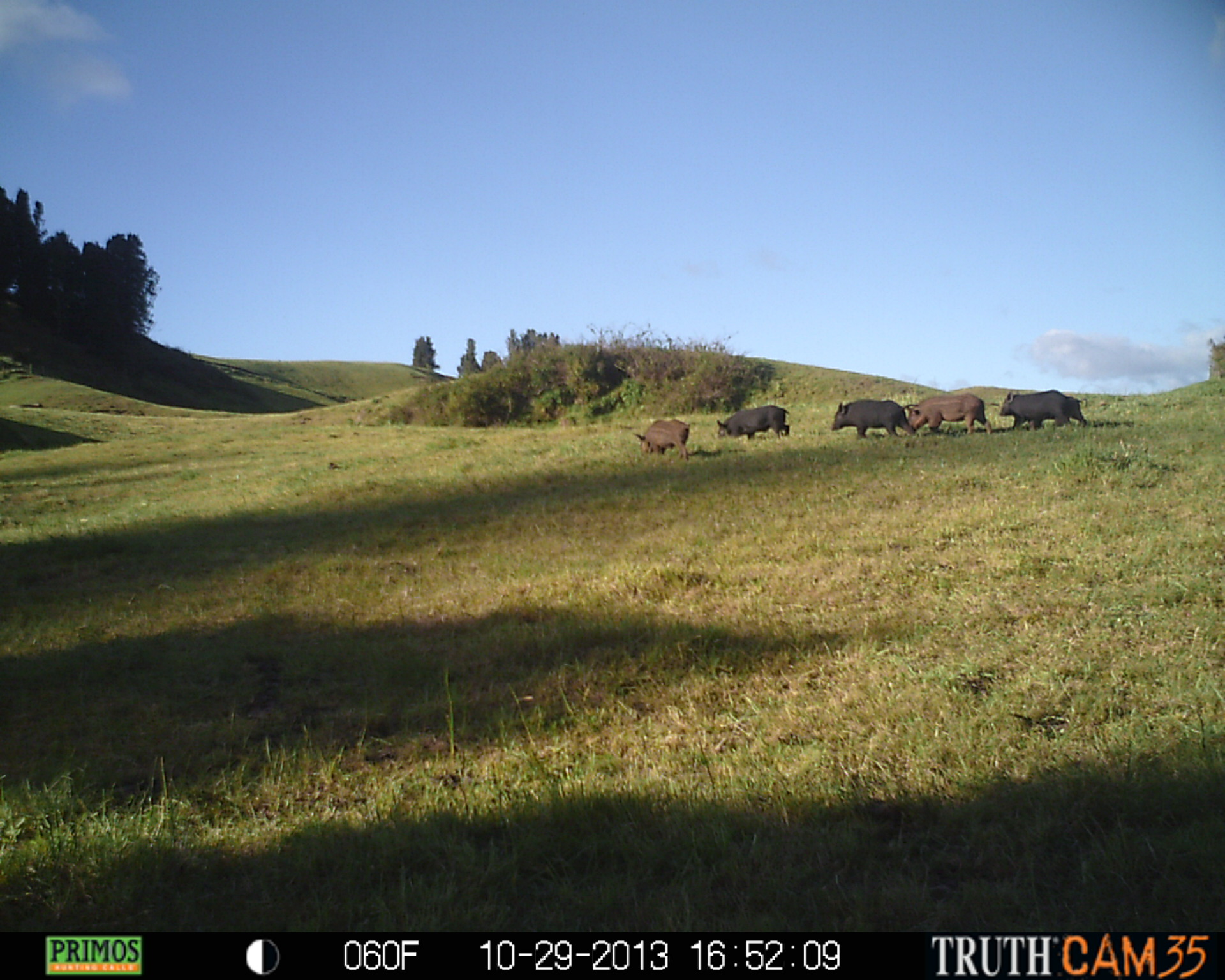Name:  PRMS0378.JPG
Views: 746
Size:  653.9 KB