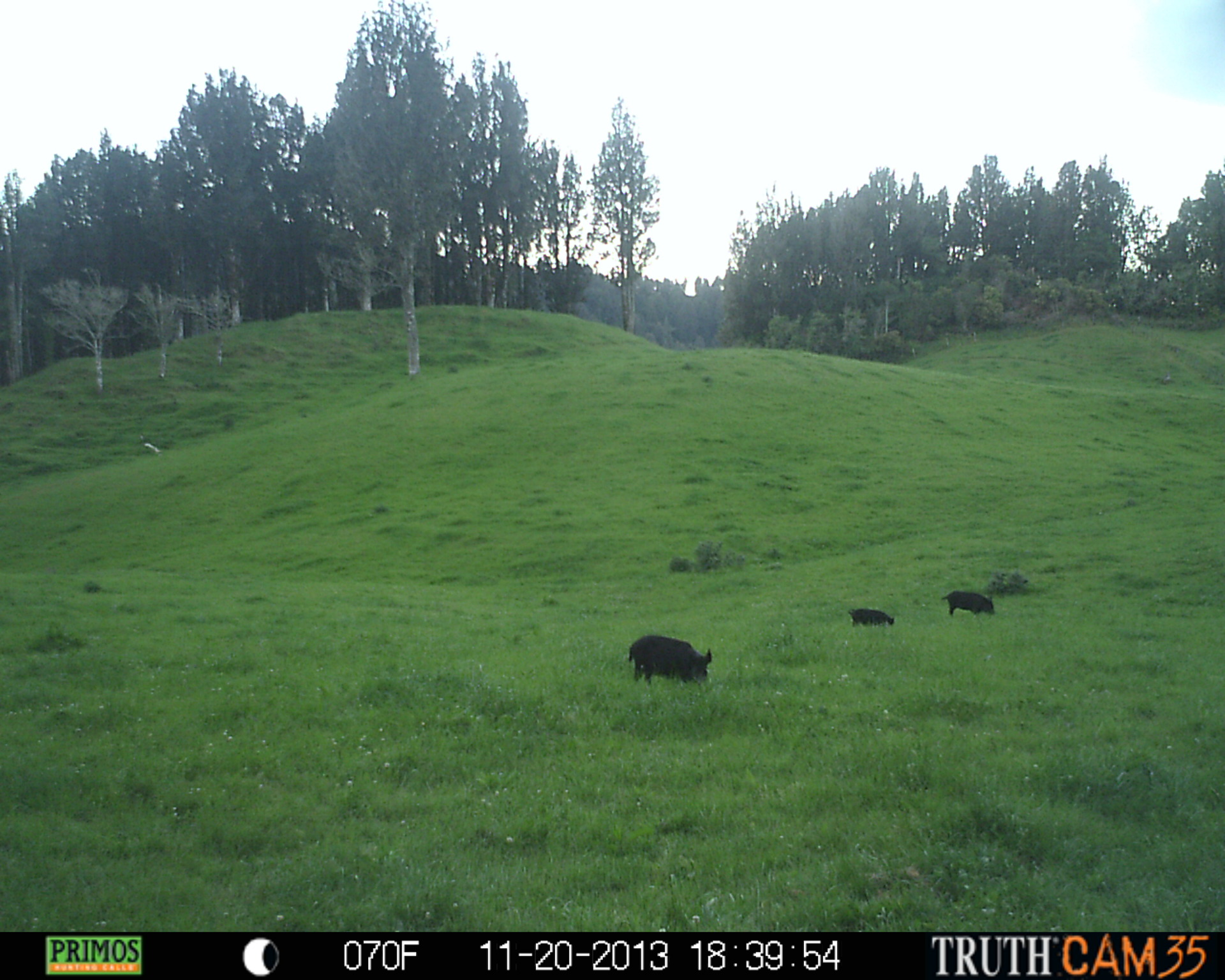 Name:  PRMS1279.JPG
Views: 715
Size:  639.4 KB