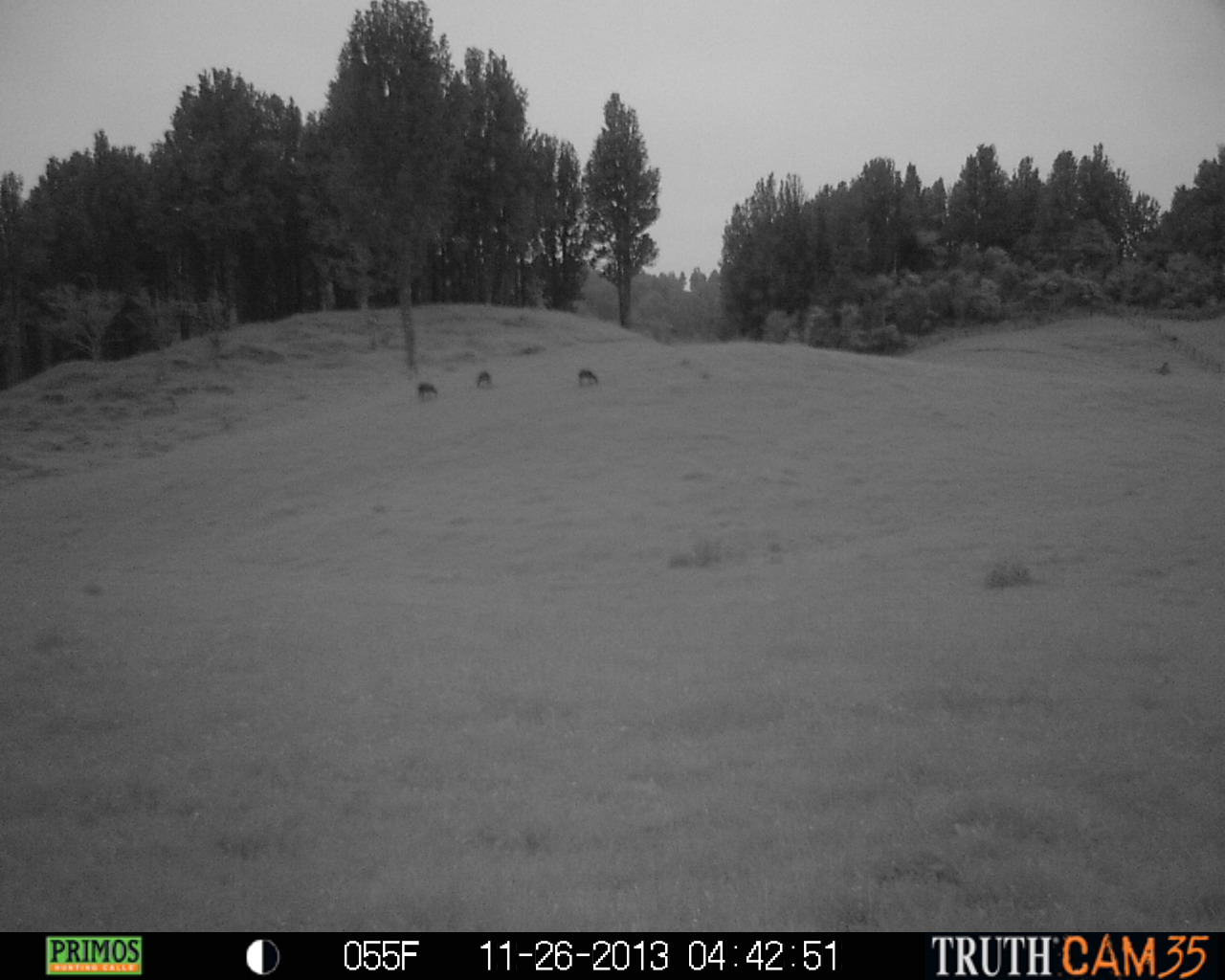 Name:  PRMS1299.JPG
Views: 668
Size:  286.1 KB