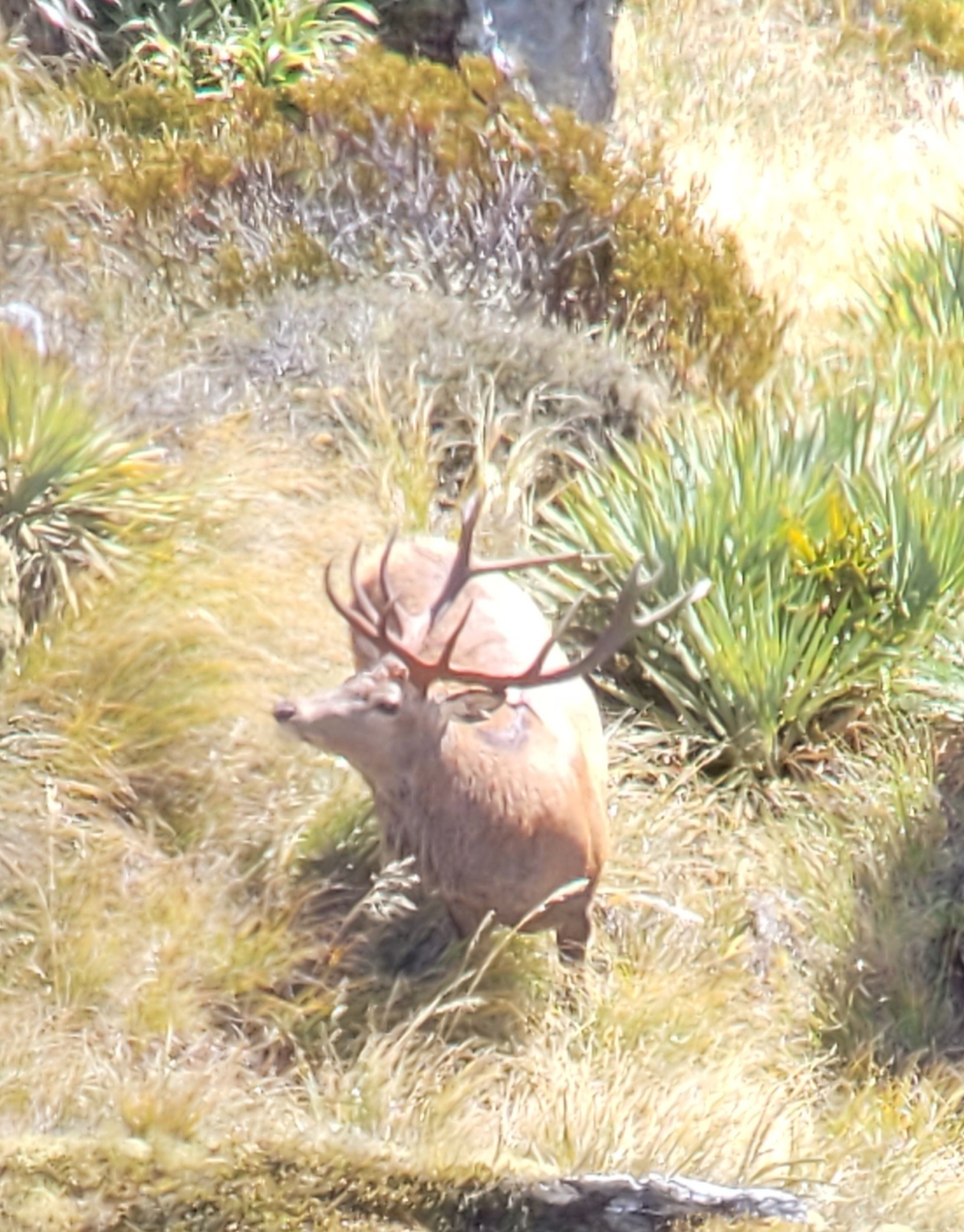 Name:  20240313_143021.jpg
Views: 519
Size:  548.7 KB
