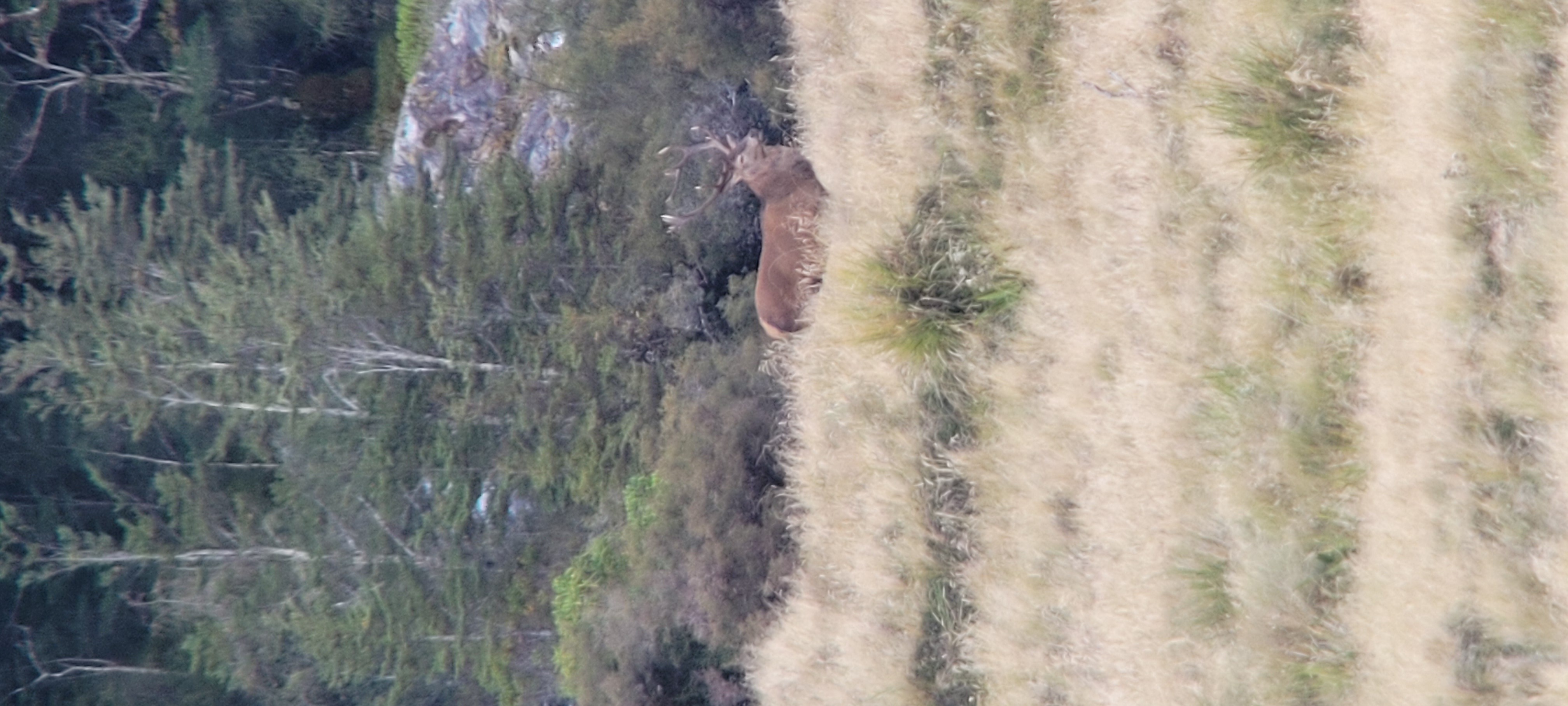 Name:  20240329_190738.jpg
Views: 514
Size:  1.13 MB