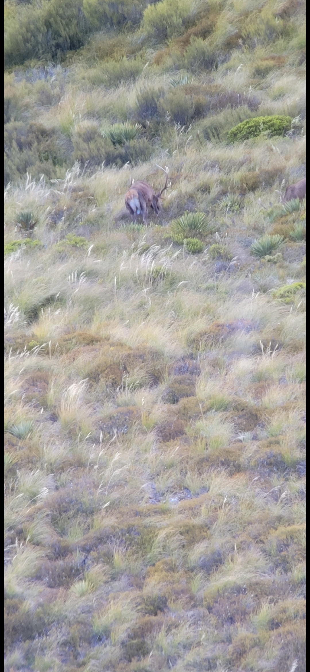 Name:  Screenshot_20240402_174518_Gallery.jpg
Views: 504
Size:  1.47 MB