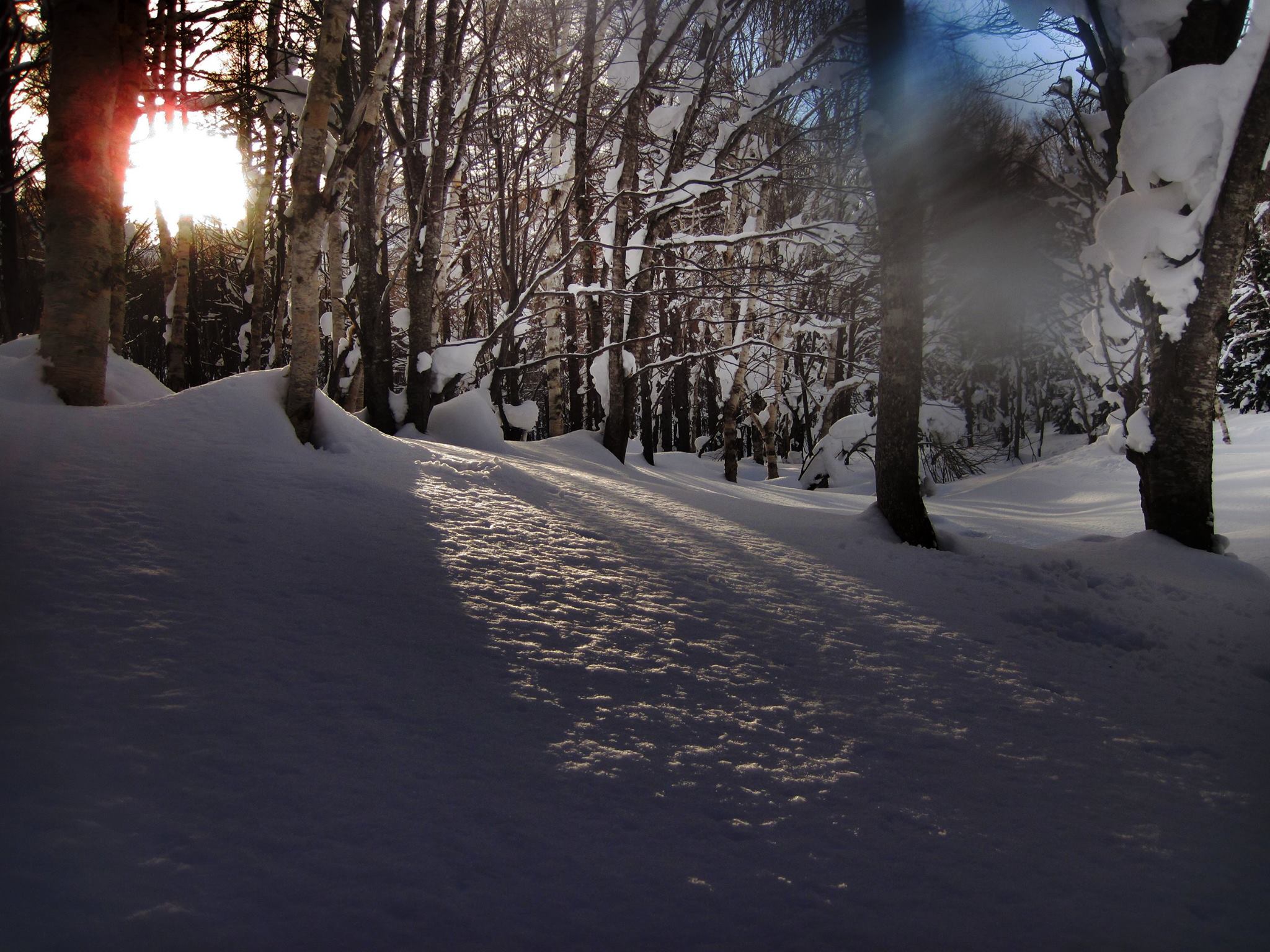 Name:  1911183_593231227431554_1697632937_o.jpg
Views: 195
Size:  423.1 KB