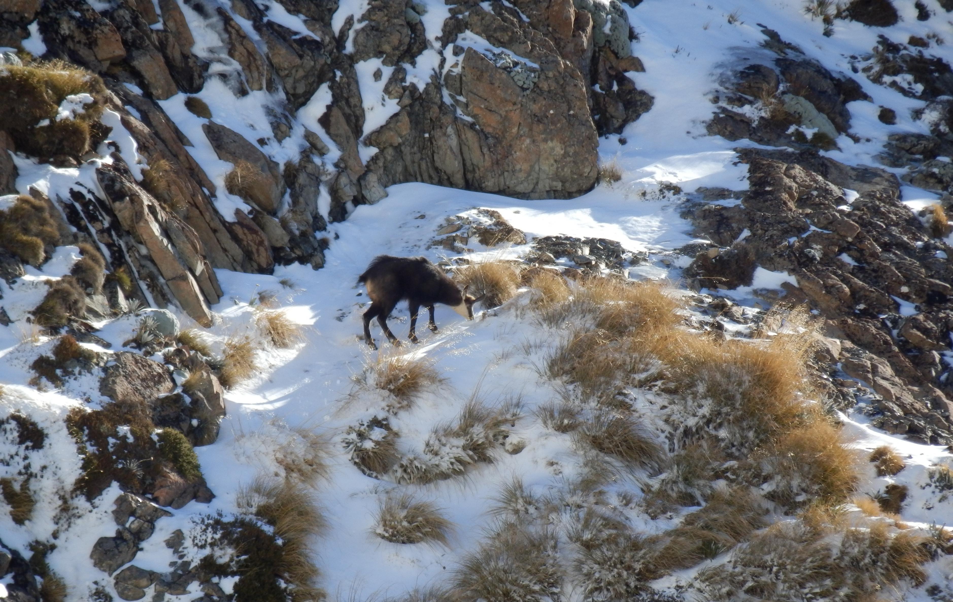 Name:  P5311491.jpg
Views: 614
Size:  1.03 MB