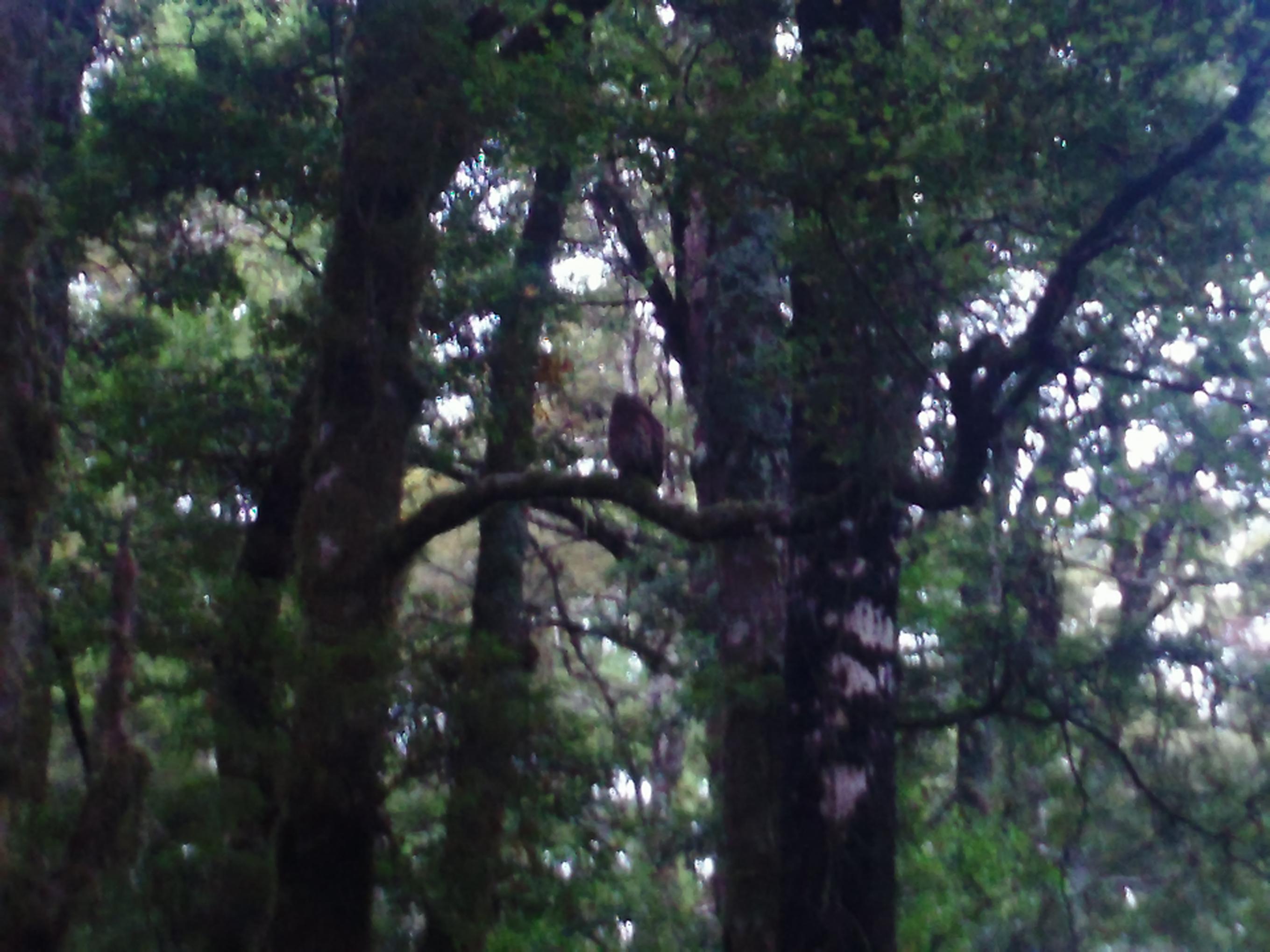 Name:  SAM_0340.jpg
Views: 415
Size:  369.0 KB