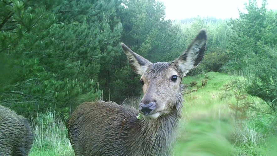 Name:  kid camera.JPG
Views: 396
Size:  99.2 KB