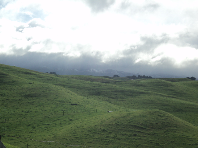 Name:  picture 4036.jpg
Views: 776
Size:  157.8 KB