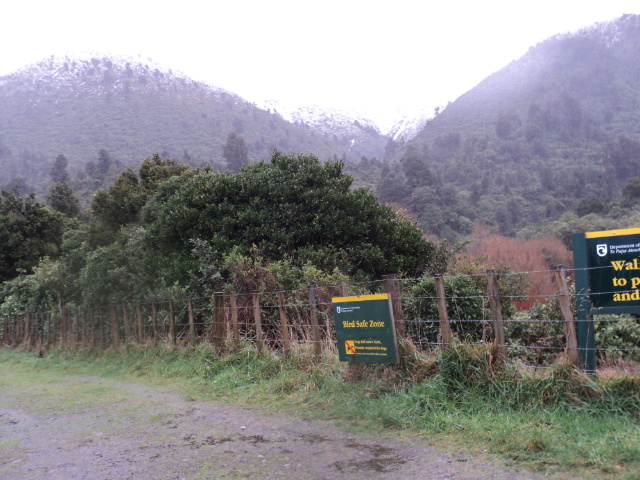 Name:  picture 4039.jpg
Views: 752
Size:  164.5 KB