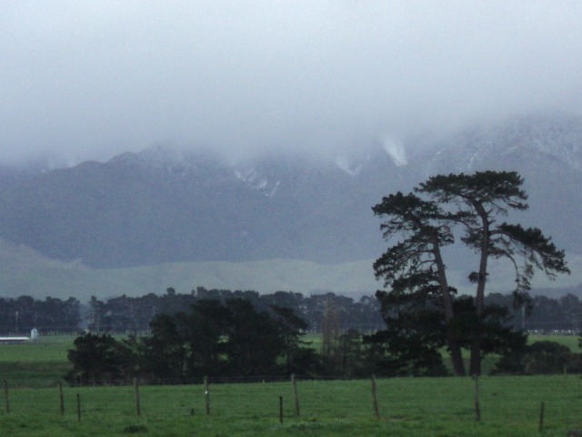 Name:  picture 4042.jpg
Views: 762
Size:  164.3 KB