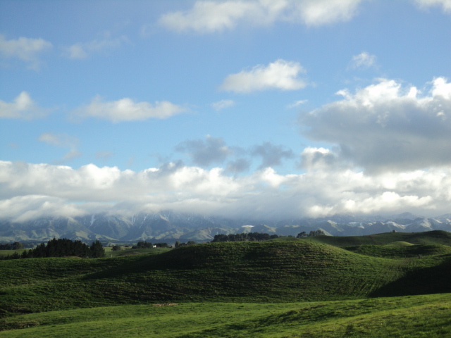 Name:  picture 4052.jpg
Views: 937
Size:  164.7 KB