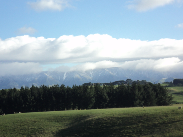 Name:  picture 4054.jpg
Views: 858
Size:  160.8 KB