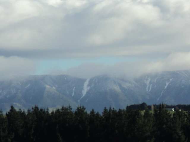 Name:  picture 4055.jpg
Views: 874
Size:  156.9 KB