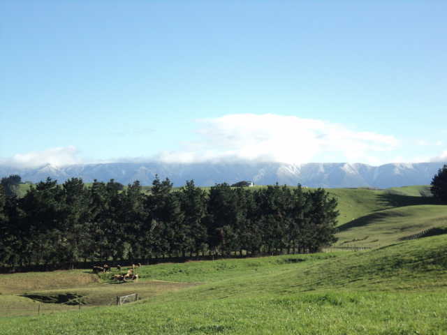 Name:  picture 4056.jpg
Views: 892
Size:  164.8 KB