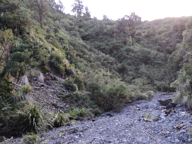 Name:  picture 4071.jpg
Views: 1450
Size:  163.6 KB
