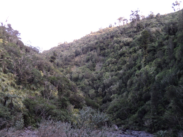 Name:  picture 4072.jpg
Views: 1450
Size:  164.8 KB
