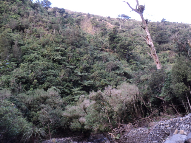 Name:  picture 4074.jpg
Views: 1531
Size:  163.2 KB