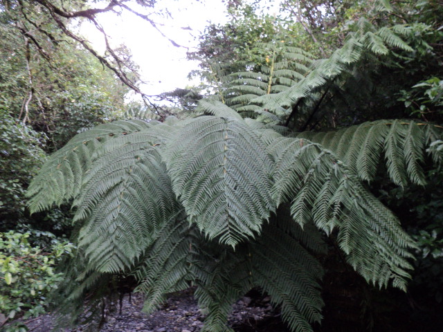 Name:  picture 4077.jpg
Views: 1466
Size:  163.6 KB