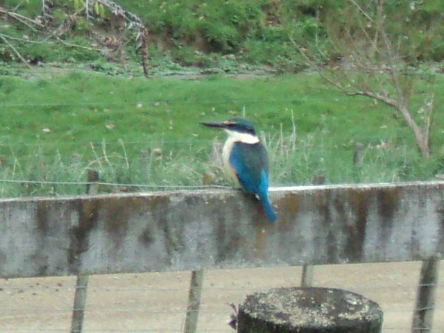 Name:  picture 4102.jpg
Views: 328
Size:  164.3 KB