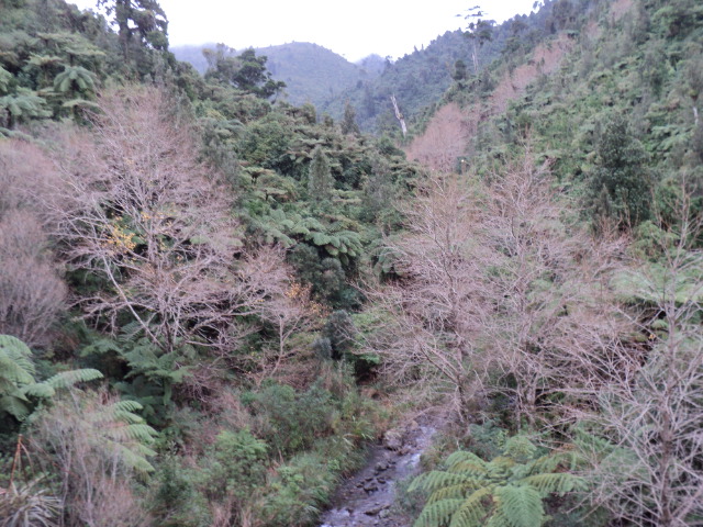Name:  picture 4106.jpg
Views: 1156
Size:  164.2 KB