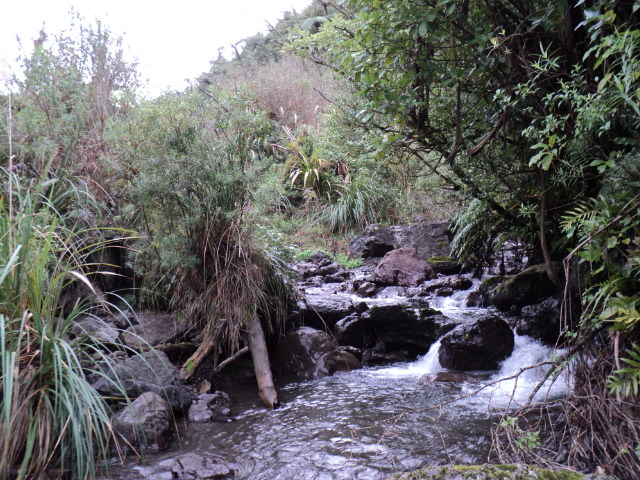 Name:  picture 4107.jpg
Views: 1072
Size:  164.7 KB