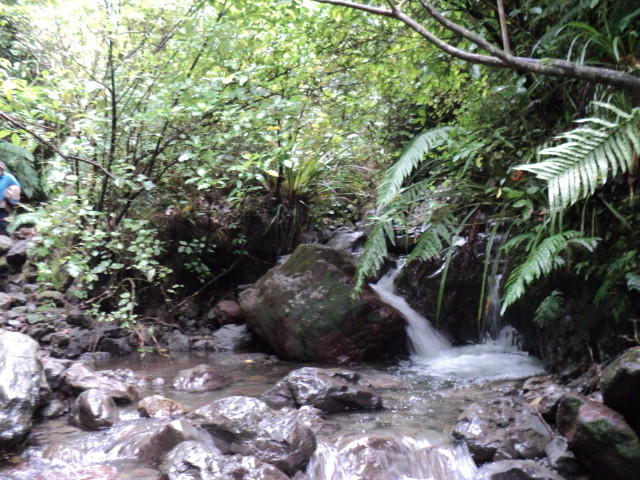 Name:  picture 4112.jpg
Views: 1001
Size:  164.2 KB