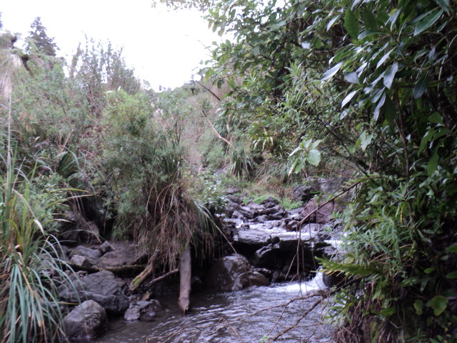 Name:  picture 4113.jpg
Views: 1002
Size:  163.0 KB