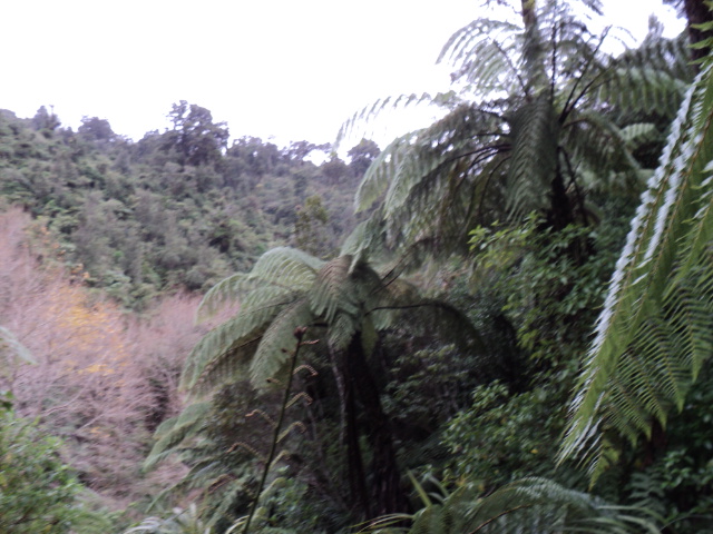 Name:  picture 4116.jpg
Views: 1070
Size:  163.4 KB